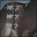     
: VTOL_deer_rockets.gif
: 625
:	4.36 
ID:	10757