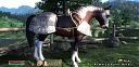 Нажмите на изображение для увеличения
Название: Oblivion-horse-armor.jpg
Просмотров: 1804
Размер: 50.5 Кб
ID: 11941