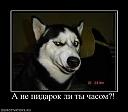 Нажмите на изображение для увеличения
Название: 47997_a-ne-pidarok-li-tyi-chasom.jpg
Просмотров: 1306
Размер: 28.4 Кб
ID: 12666