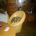 Нажмите на изображение для увеличения
Название: WP_20130924_02_30_40_Pro.jpg
Просмотров: 1643
Размер: 572.5 Кб
ID: 19715