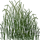     
: grass.png
: 3024
:	79.2 
ID:	9542