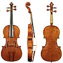 Нажмите на изображение для увеличения
Название: transitional_violin.jpg
Просмотров: 1375
Размер: 290.9 Кб
ID: 9912