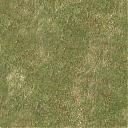     
: grass1.jpg
: 1113
:	19.7 
ID:	21284