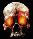     
: Skull1.gif
: 756
:	127.8 
ID:	13767