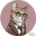   ProFessor_nic