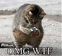     
: 12849728524747.jpg
: 898
:	10.7 
ID:	11323