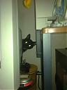     
: 26092010210.jpg
: 1254
:	450.4 
ID:	11616
