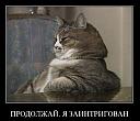     
: demotivator064.jpg
: 910
:	53.6 
ID:	12319