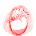 : IMG_63.png
: 1460

: 11.6 