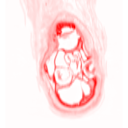 : IMG1_39.png
: 1500

: 9.9 