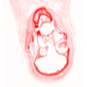 : IMG1_45.png
: 1515

: 10.9 