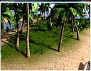     
: palms.jpg
: 1126
:	833.3 
ID:	14702