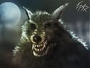    
: werewolf1.jpg
: 757
:	371.4 
ID:	15624