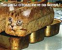     
: 8.jpg
: 2552
:	33.3 
ID:	16499