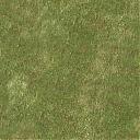     
: grass1.jpg
: 1107
:	18.6 
ID:	21274