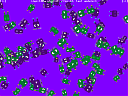    
: mojo1.png
: 1366
:	183.4 
ID:	21936