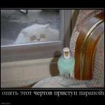     
: 523071_i-opyat-etot-chertov-pristup-paranoji-.jpg
: 508
:	64.8 
ID:	8784