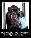     
: %D0%B2%D1%8B%D0%B0%D0%B2%D1%8F%D0%B0.jpg
: 762
:	31.8 
ID:	9948