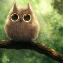   FireOwl